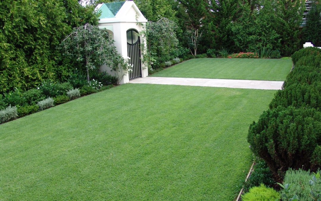 Everything You Need to Know about Lawn Care: A Primer